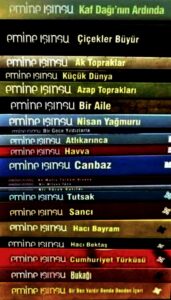 emine isinsu ulkuyaz org tr