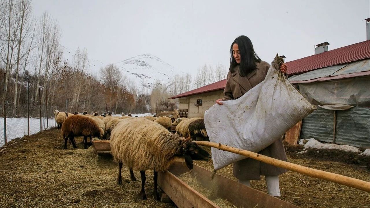 Kırsalda bereket projesi: Küçükbaş hayvancılığa dev destek paketi